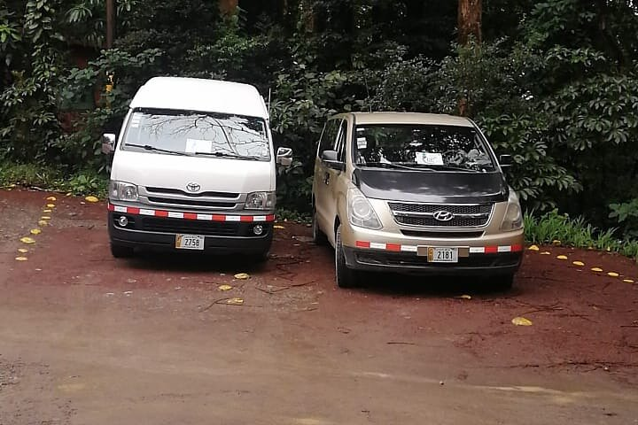 Transfer to Monteverde Cloud Forest Reserve  - Photo 1 of 6